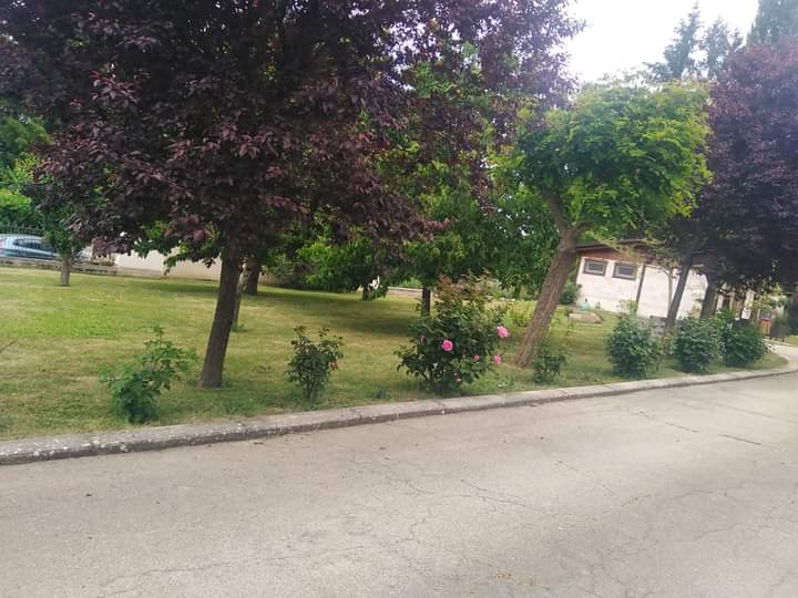 La Regina del Parco